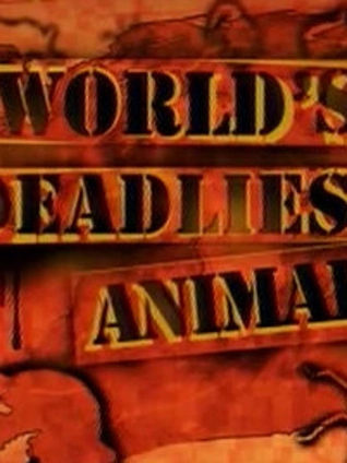 世界上最致命的动物2